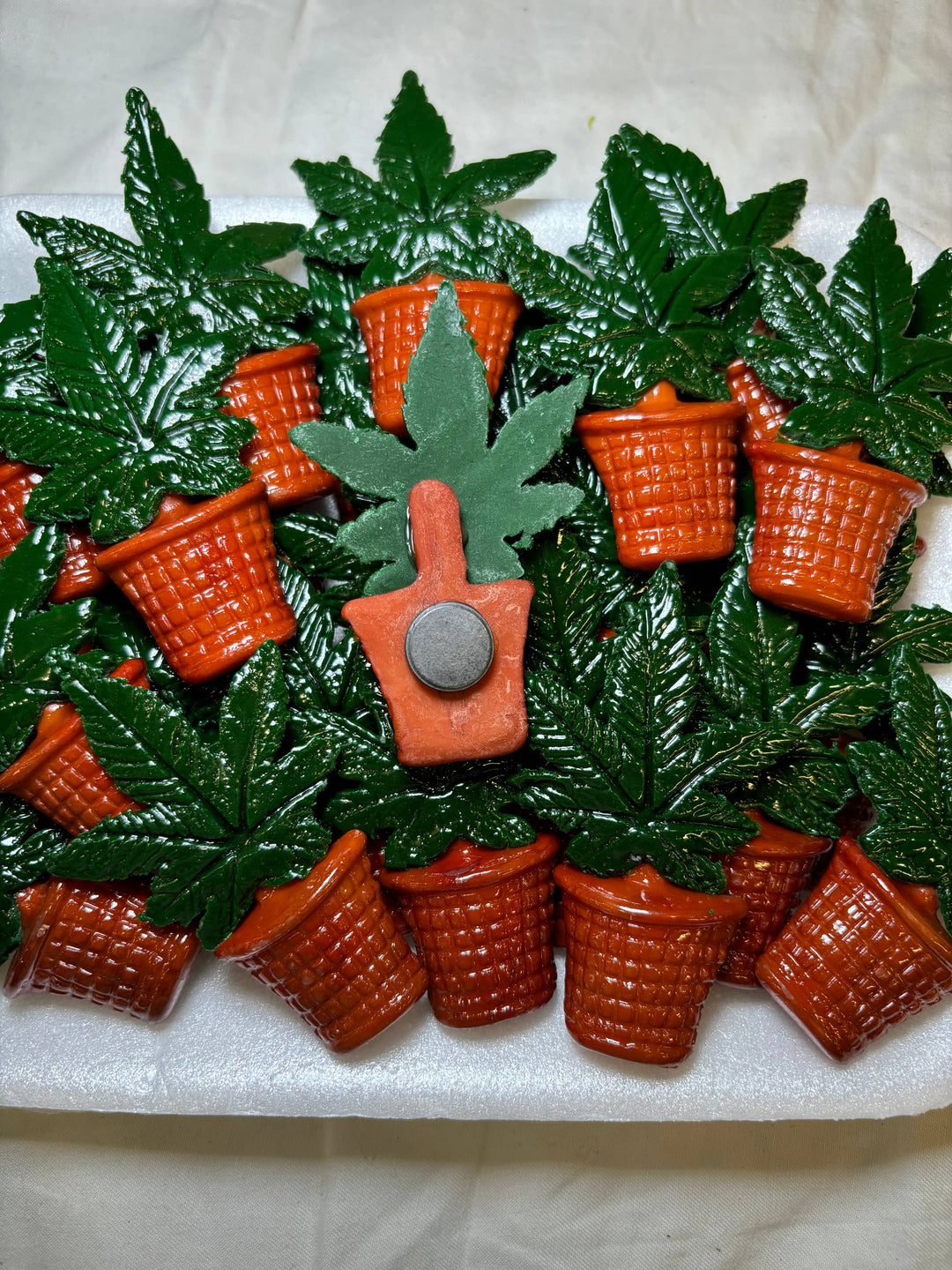 Green Plant in Pot Kitchen Magnet