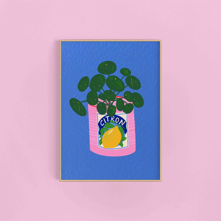 Money Plant & Vintage Citron Tin Colourful Art Print