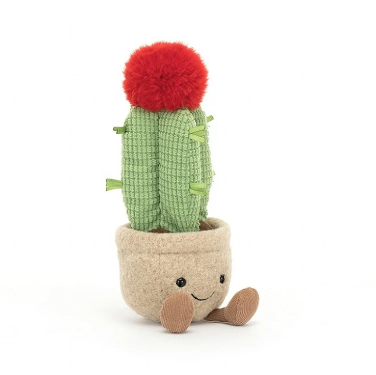 Amuseable Moon Cactus