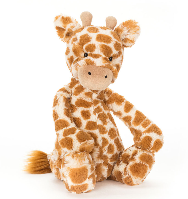 Bashful Giraffe