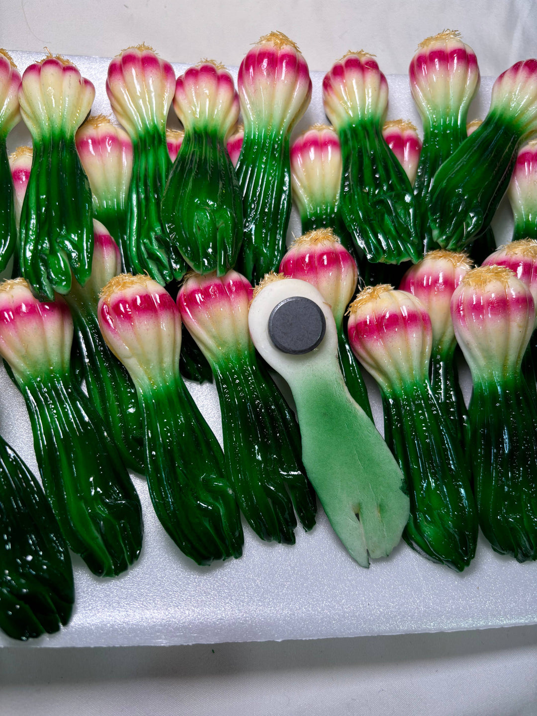 Green Long Onion Kitchen Magnet